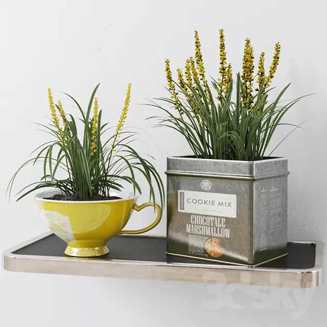 Plants – Flowers – 3D Models Download – 0458 Plants – Flowers – 3D Models Download – 0458