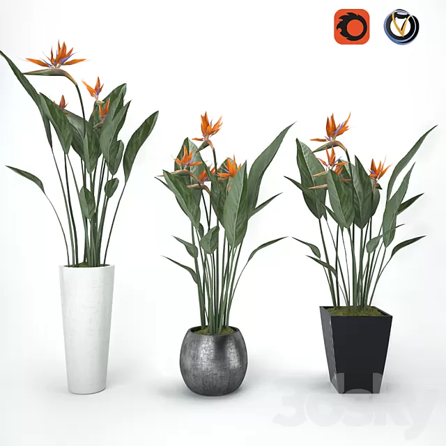 Plants – Flowers – 3D Models Download – 0464 Plants – Flowers – 3D Models Download – 0464