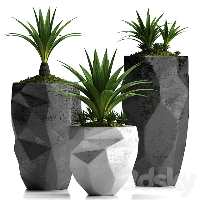 Plants – Flowers – 3D Models Download – 0487 Plants – Flowers – 3D Models Download – 0487