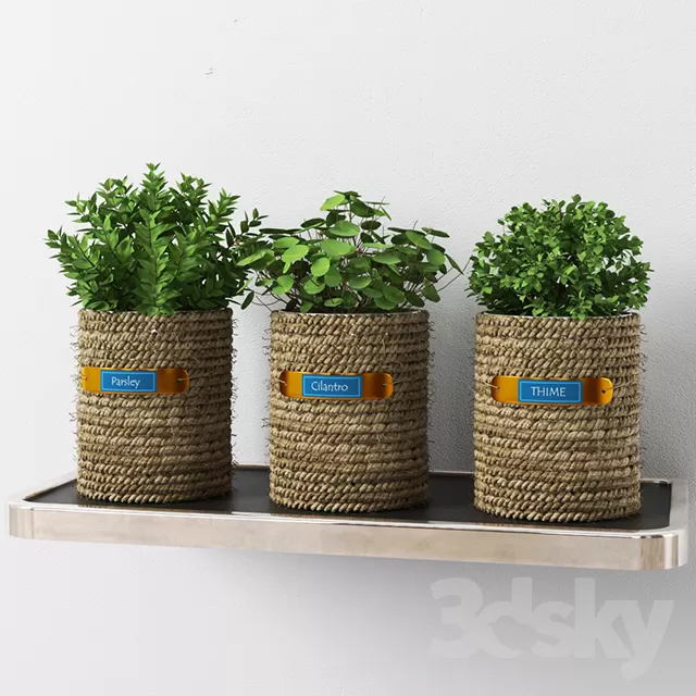 Plants – Flowers – 3D Models Download – 0490 Plants – Flowers – 3D Models Download – 0490