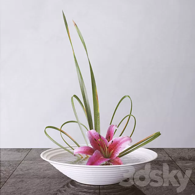 Plants – Flowers – 3D Models Download – 0503 Plants – Flowers – 3D Models Download – 0503