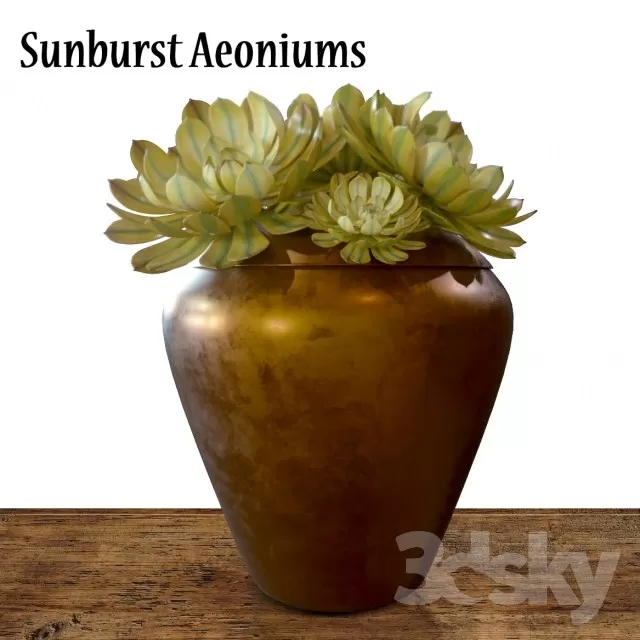 Plants – Flowers – 3D Models Download – 0504 Plants – Flowers – 3D Models Download – 0504