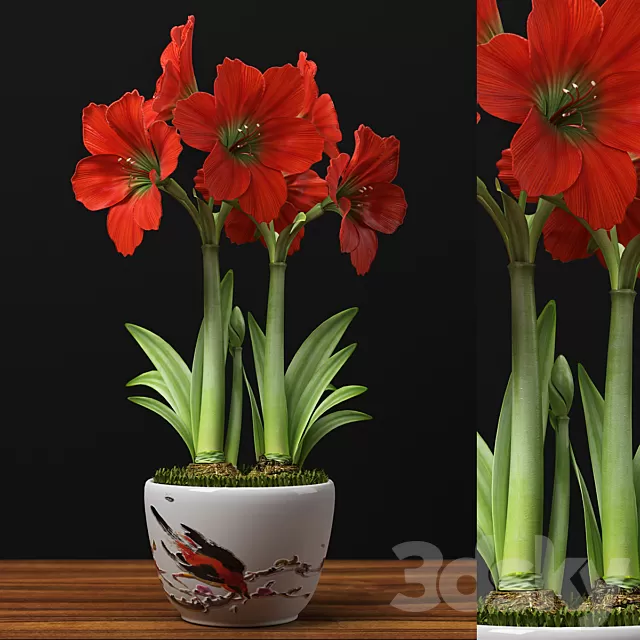 Plants – Flowers – 3D Models Download – 0511 Plants – Flowers – 3D Models Download – 0511