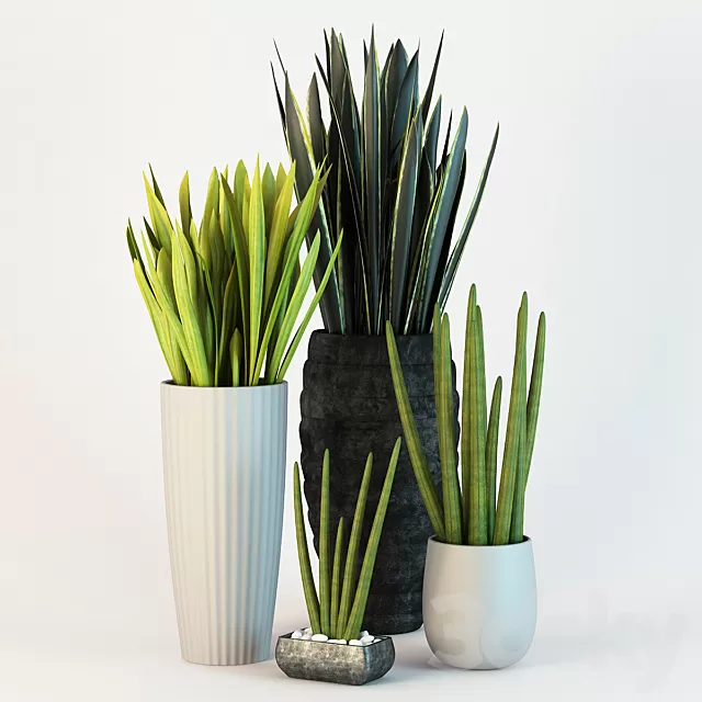 Plants – Flowers – 3D Models Download – 0513 Plants – Flowers – 3D Models Download – 0513