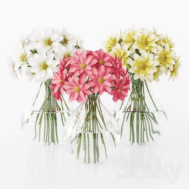 Plants – Flowers – 3D Models Download – 0522 Plants – Flowers – 3D Models Download – 0522