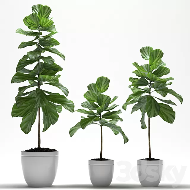 Plants – Flowers – 3D Models Download – 0539 Plants – Flowers – 3D Models Download – 0539