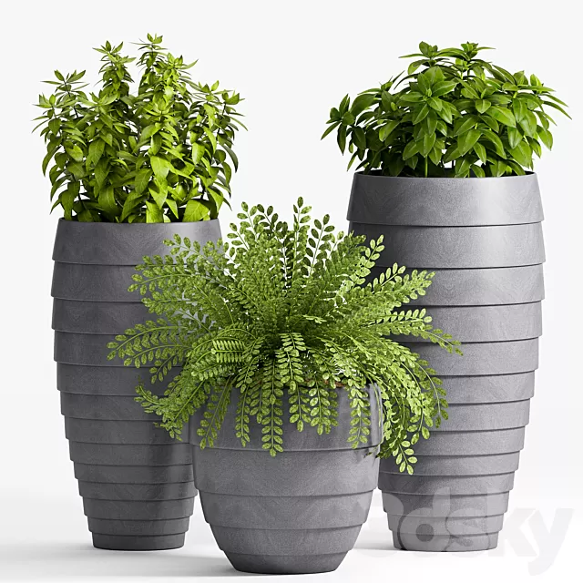 Plants – Flowers – 3D Models Download – 0547 Plants – Flowers – 3D Models Download – 0547