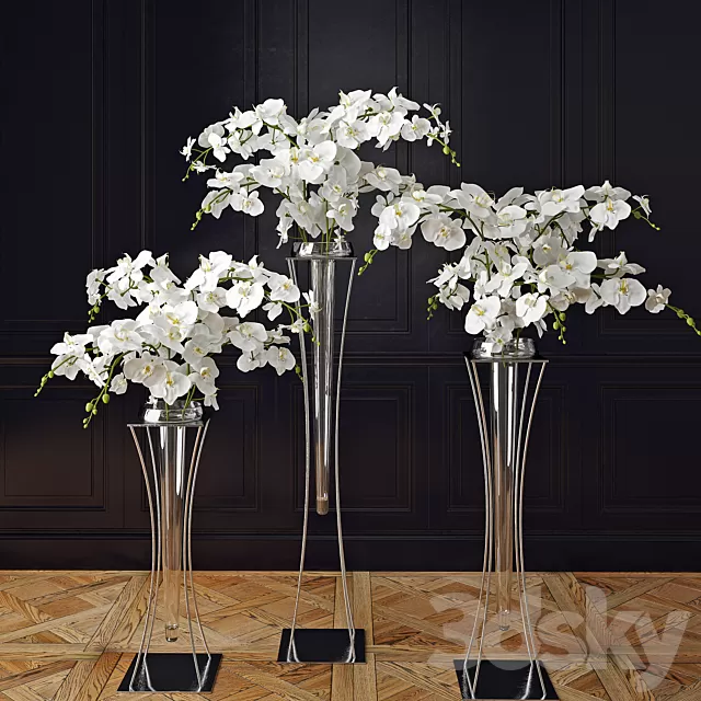 Plants – Flowers – 3D Models Download – 0548 Plants – Flowers – 3D Models Download – 0548