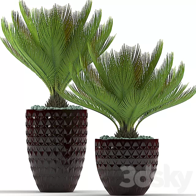 Plants – Flowers – 3D Models Download – 0549 Plants – Flowers – 3D Models Download – 0549