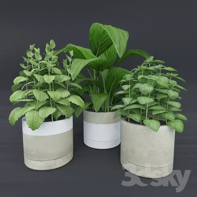 Plants – Flowers – 3D Models Download – 0551 Plants – Flowers – 3D Models Download – 0551