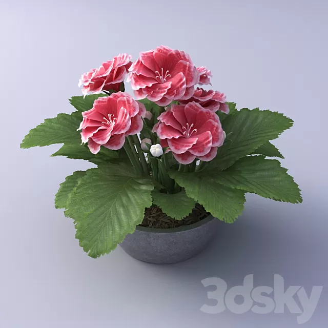 Plants – Flowers – 3D Models Download – 0552 Plants – Flowers – 3D Models Download – 0552