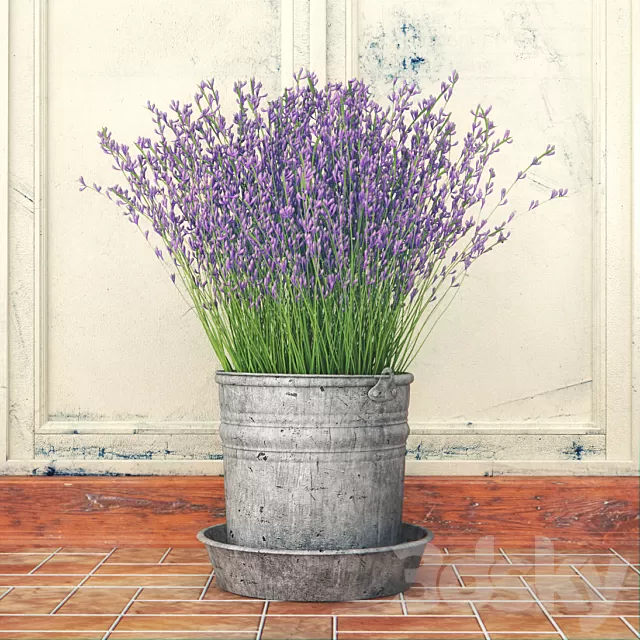 Plants – Flowers – 3D Models Download – 0554 Plants – Flowers – 3D Models Download – 0554