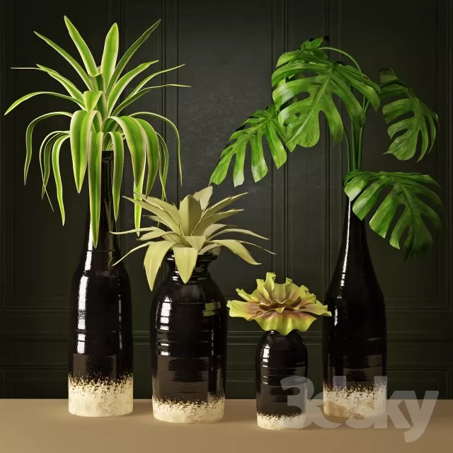 Plants – Flowers – 3D Models Download – 0558 Plants – Flowers – 3D Models Download – 0558