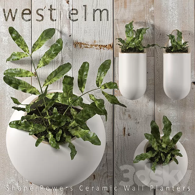 Plants – Flowers – 3D Models Download – 0570 Plants – Flowers – 3D Models Download – 0570