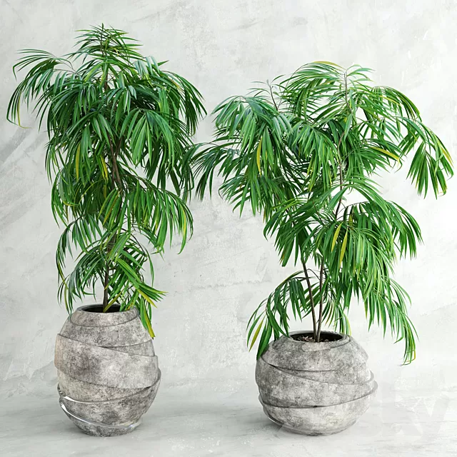 Plants – Flowers – 3D Models Download – 0595 Plants – Flowers – 3D Models Download – 0595