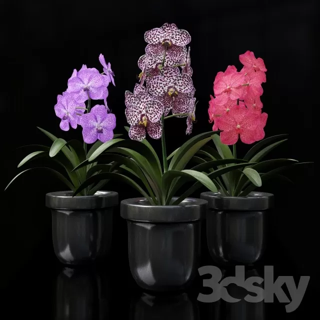Plants – Flowers – 3D Models Download – 0617 Plants – Flowers – 3D Models Download – 0617