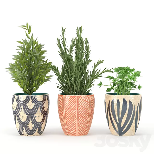 Plants – Flowers – 3D Models Download – 0630 Plants – Flowers – 3D Models Download – 0630