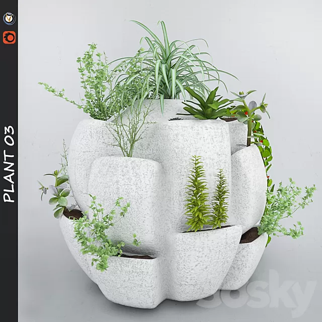 Plants – Flowers – 3D Models Download – 0637 Plants – Flowers – 3D Models Download – 0637