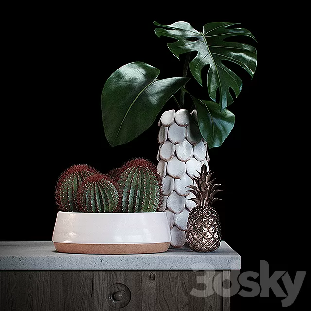 Plants – Flowers – 3D Models Download – 0655 Plants – Flowers – 3D Models Download – 0655