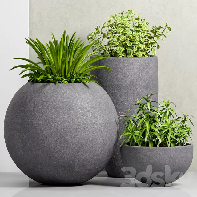 Plants – Flowers – 3D Models Download – 0661 Plants – Flowers – 3D Models Download – 0661