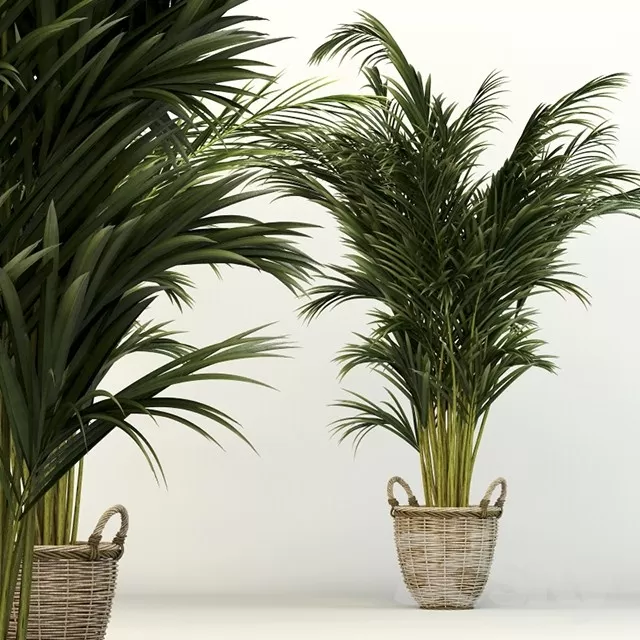 Plants – Flowers – 3D Models Download – 0665 Plants – Flowers – 3D Models Download – 0665