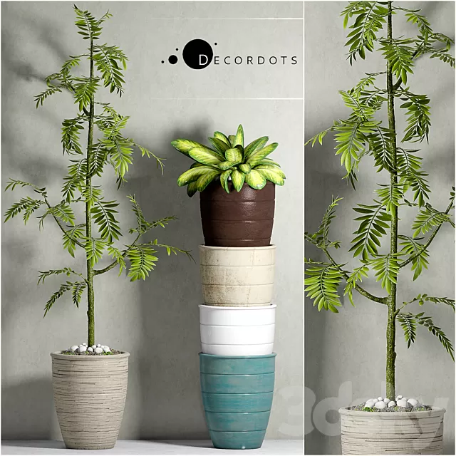 Plants – Flowers – 3D Models Download – 0668 Plants – Flowers – 3D Models Download – 0668