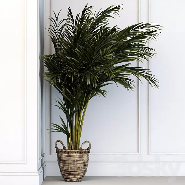 Plants – Flowers – 3D Models Download – 0683 Plants – Flowers – 3D Models Download – 0683