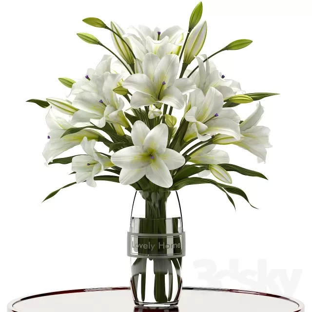 Plants – Flowers – 3D Models Download – 0685 Plants – Flowers – 3D Models Download – 0685