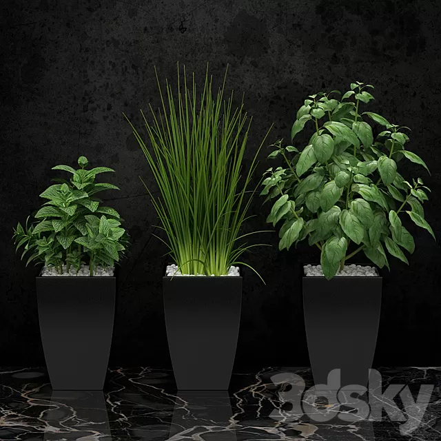 Plants – Flowers – 3D Models Download – 0689 Plants – Flowers – 3D Models Download – 0689