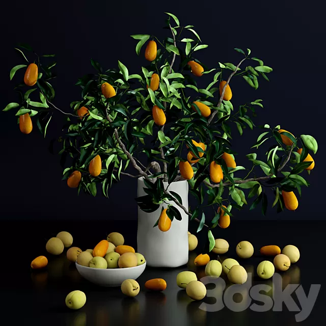 Plants – Flowers – 3D Models Download – 0715 Plants – Flowers – 3D Models Download – 0715