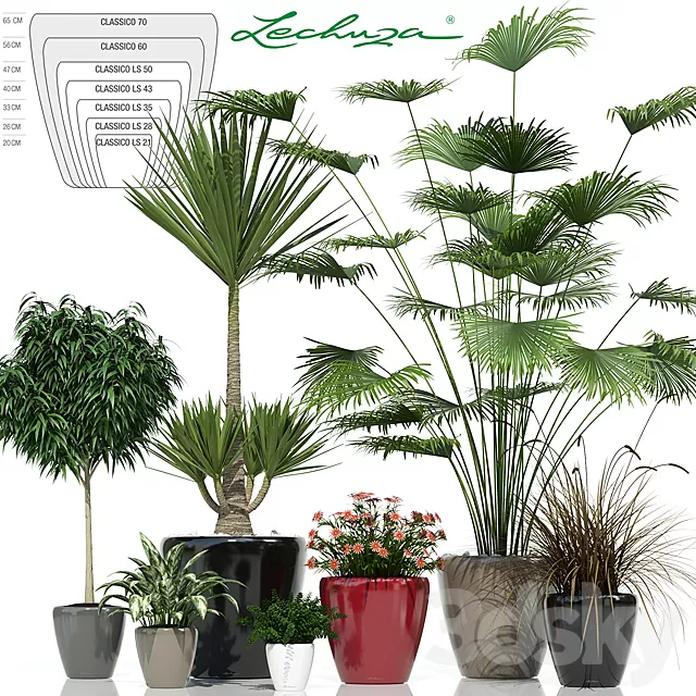 Plants – Flowers – 3D Models Download – 0716 Plants – Flowers – 3D Models Download – 0716