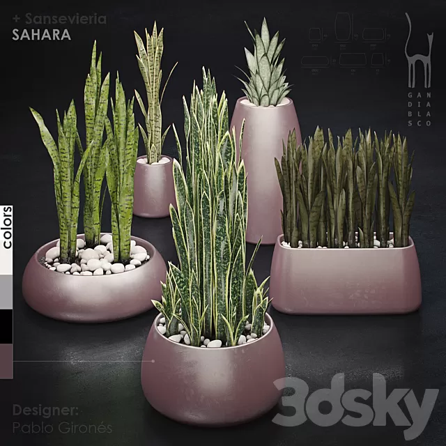 Plants – Flowers – 3D Models Download – 0719 Plants – Flowers – 3D Models Download – 0719