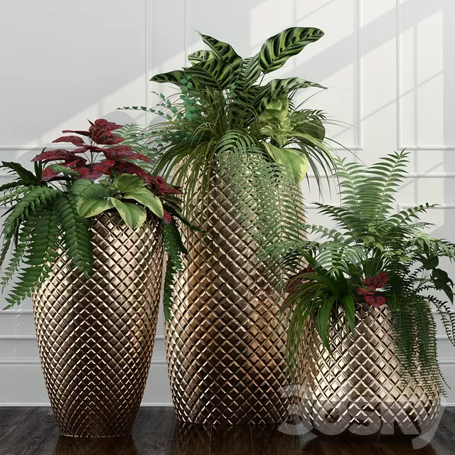 Plants – Flowers – 3D Models Download – 0740