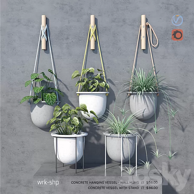 Plants – Flowers – 3D Models Download – 0745