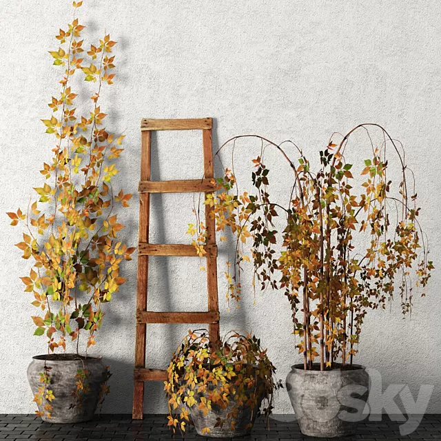 Plants – Flowers – 3D Models Download – 0756