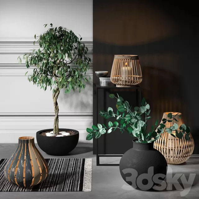 Plants – Flowers – 3D Models Download – 0757