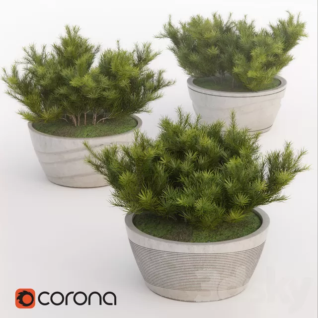 Plants – Flowers – 3D Models Download – 0761