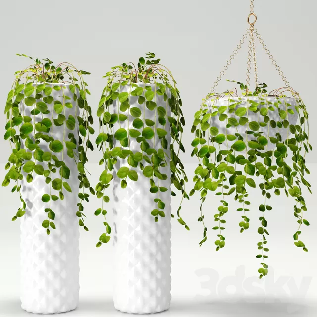 Plants – Flowers – 3D Models Download – 0765