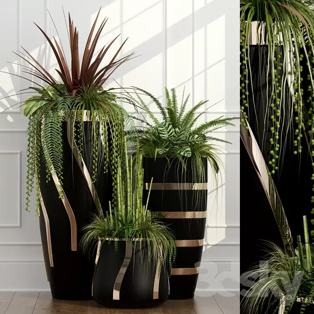 Plants – Flowers – 3D Models Download – 0795