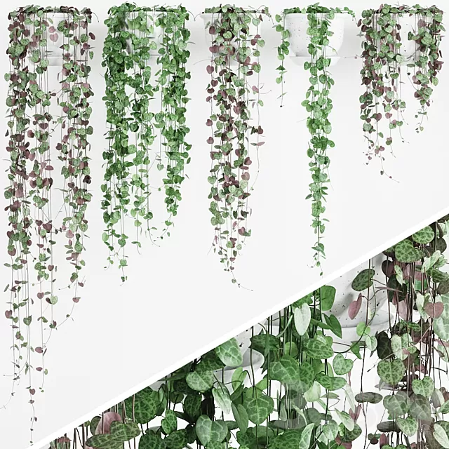 Plants – Flowers – 3D Models Download – 0805