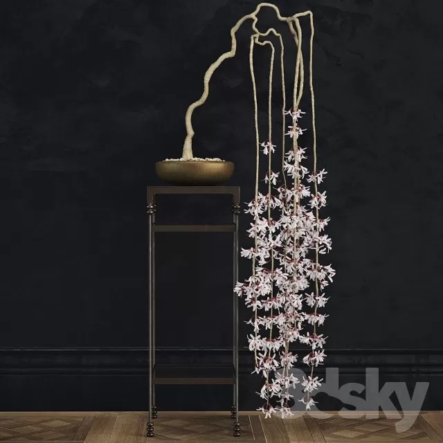 Plants – Flowers – 3D Models Download – 0818