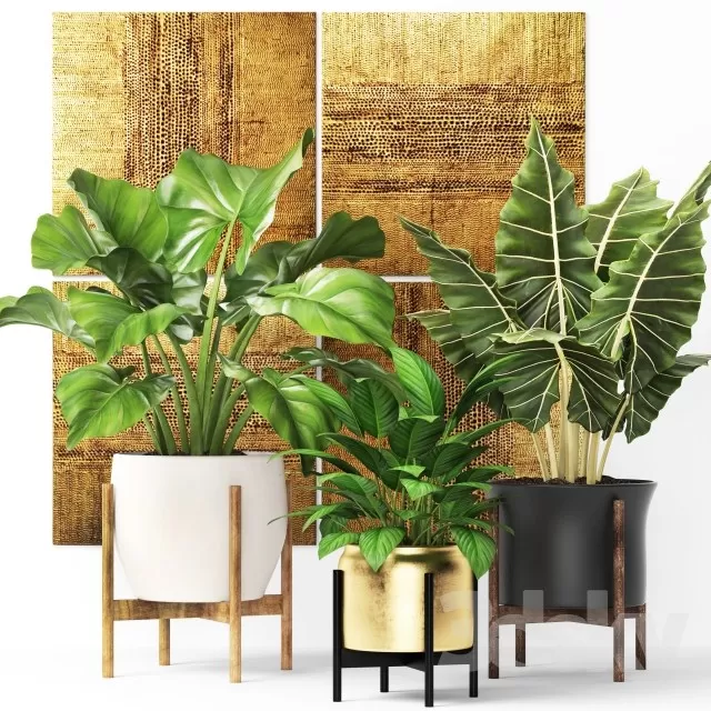 Plants – Flowers – 3D Models Download – 0822