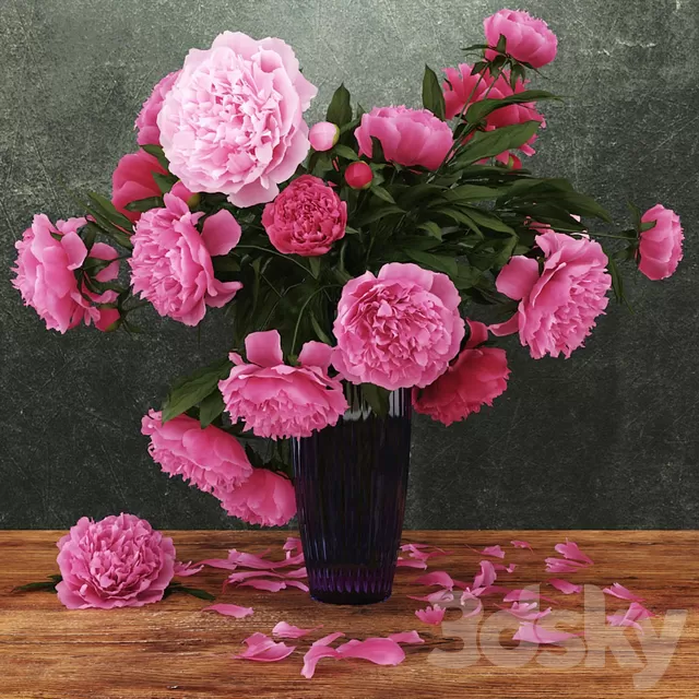 Plants – Flowers – 3D Models Download – Amb.Peonies