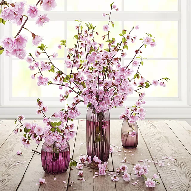 Plants – Flowers – 3D Models Download – Blooming cherry