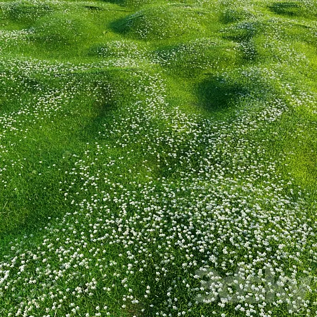 Plants – Flowers – 3D Models Download – Bryozo lawn