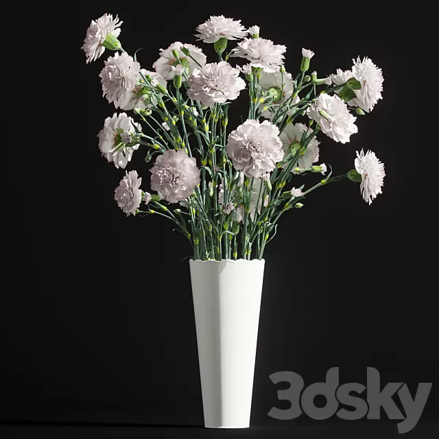 Plants – Flowers – 3D Models Download – Carnation 2 Plants – Flowers – 3D Models Download – Carnation 2
