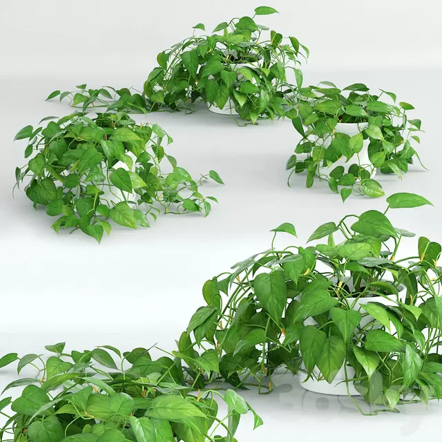 Plants – Flowers – 3D Models Download – Climbing plant 1 Plants – Flowers – 3D Models Download – Climbing plant 1