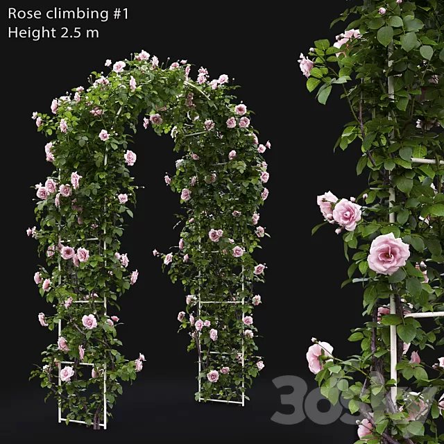 Plants – Flowers – 3D Models Download – Climbing Rose # 1 Plants – Flowers – 3D Models Download – Climbing Rose # 1