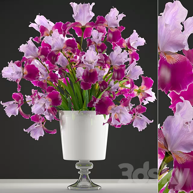 Plants – Flowers – 3D Models Download – Collection of flowers 43 Iris Plants – Flowers – 3D Models Download – Collection of flowers 43 Iris
