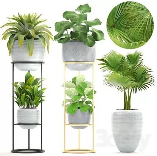 Plants – Flowers – 3D Models Download – Collection of Plants 16 Plants – Flowers – 3D Models Download – Collection of Plants 16